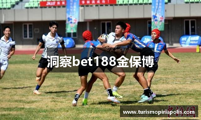 洞察bet188金保博